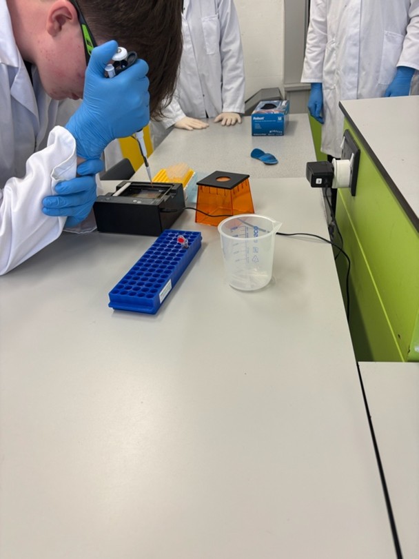 Biology laboratory practical work