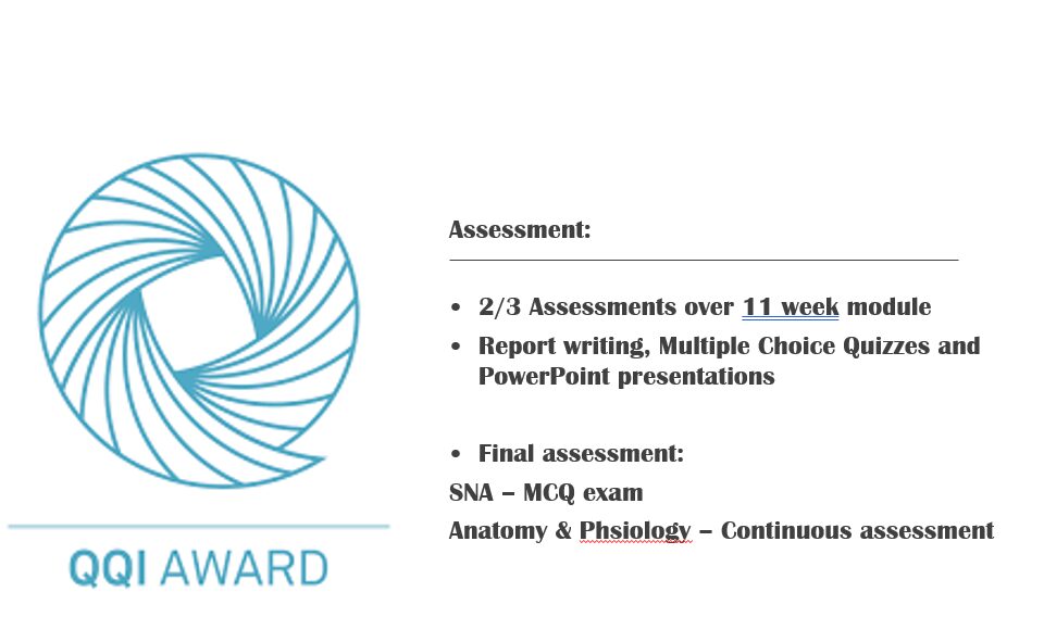 QQI assessment overview