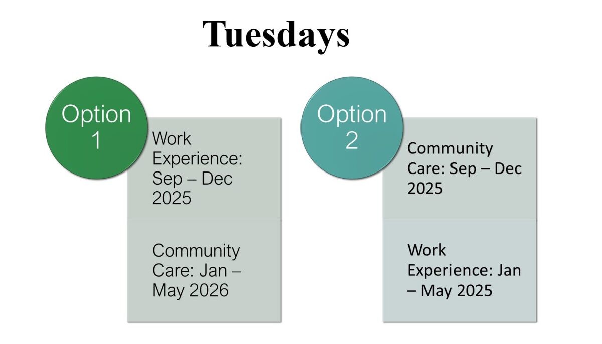 Work Experience options 2025–26