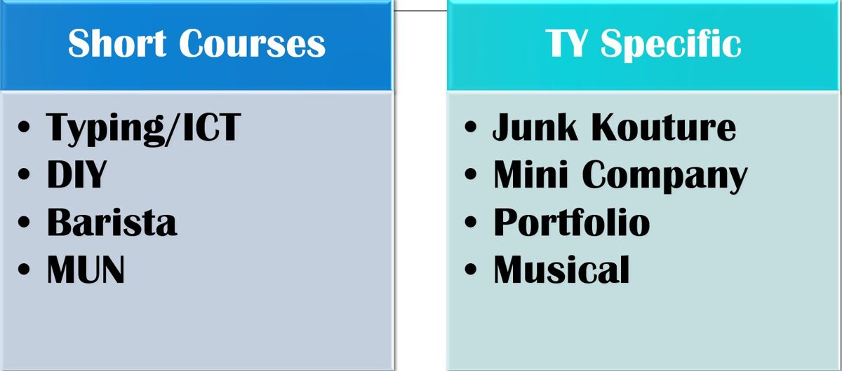 2026–2027 short courses and TY specific subjects